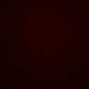 Meet your Posher, Peyton